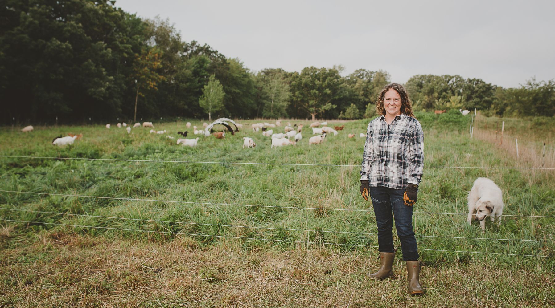 Our Interview with Regenerative Farmers of America