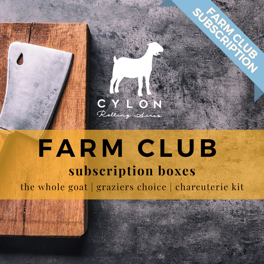 Farm Club [2024 Enrollment Open]