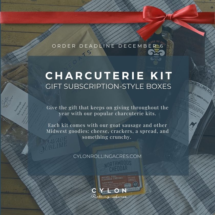 Charcuterie Kit Subscription-Style Boxes | first box ships in January
