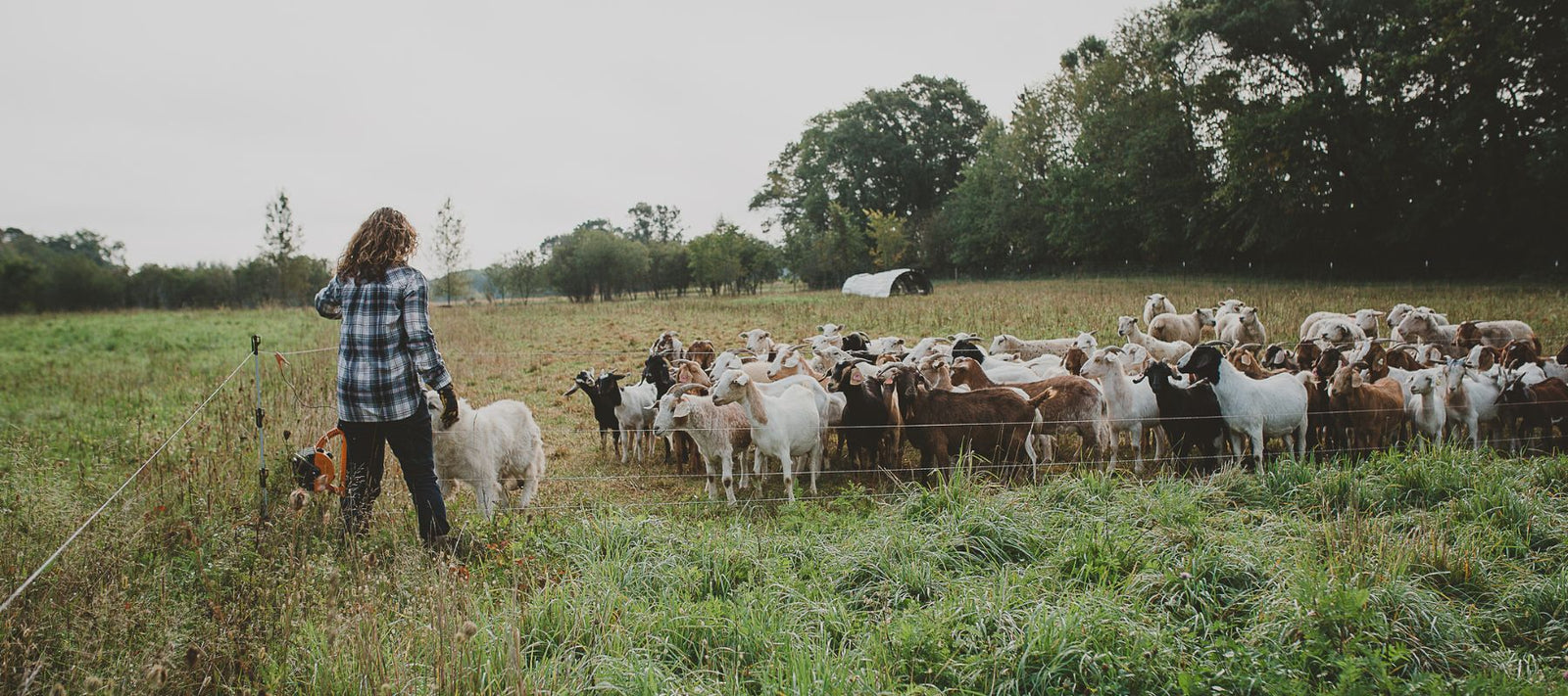 Cylon Rolling Acres FAQs