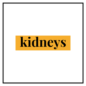 Goat Kidneys
