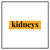 Goat Kidneys